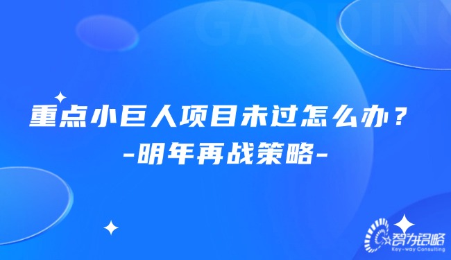 重點小巨人項目未過怎么辦？明年再戰(zhàn)策略.jpg