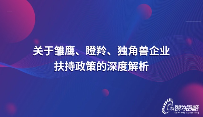關(guān)于雛鷹、瞪羚、獨角獸企業(yè)扶持政策的深度解析.jpg