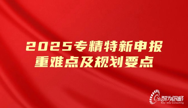 2025專精特新申報重難點(diǎn)及規(guī)劃要點(diǎn).jpg
