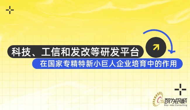 科技、工信和發(fā)改等研發(fā)平臺在國家專精特新小巨人企業(yè)培育中的作用.jpg