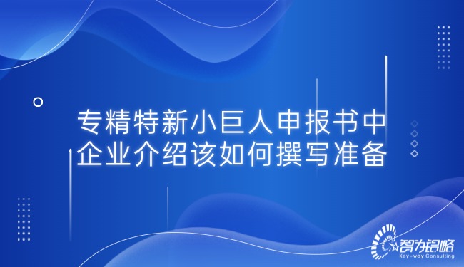 專精特新小巨人申報書中的企業(yè)介紹該如何撰寫準(zhǔn)備.jpg