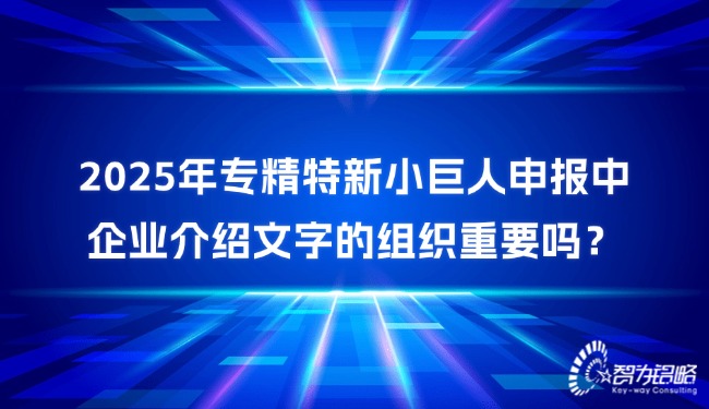 2025年專精特新小巨人申報(bào)中企業(yè)介紹文字的組織重要嗎？.jpg