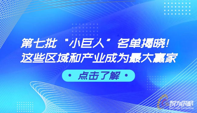 第七批“小巨人”名單揭曉！這些區(qū)域和產(chǎn)業(yè)成為最大贏家.jpg